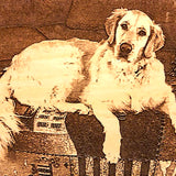 Photo Engrave of a Golden Retriever on an ottoman with a patterned blanket