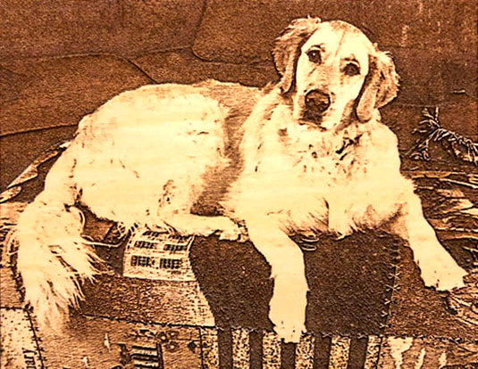 Photo Engrave of a Golden Retriever on an ottoman with a patterned blanket