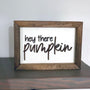Hey There Pumpkin Framed Sign