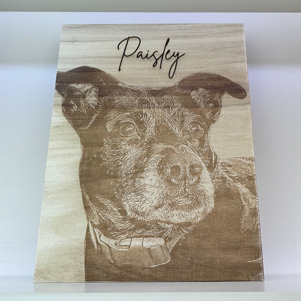 Wooden plaque with engraved dog portrait and name 'Paisley' on a white background