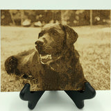 Photo engrave of a black lab on a black easel with a white background