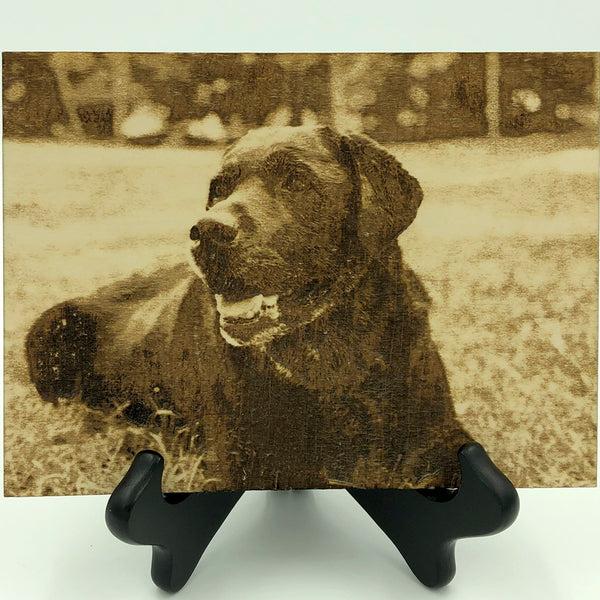 Photo engrave of a black lab on a black easel with a white background