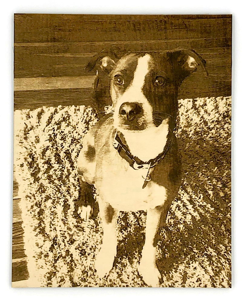 Dog with a collar standing on a textured surface, photo engrave