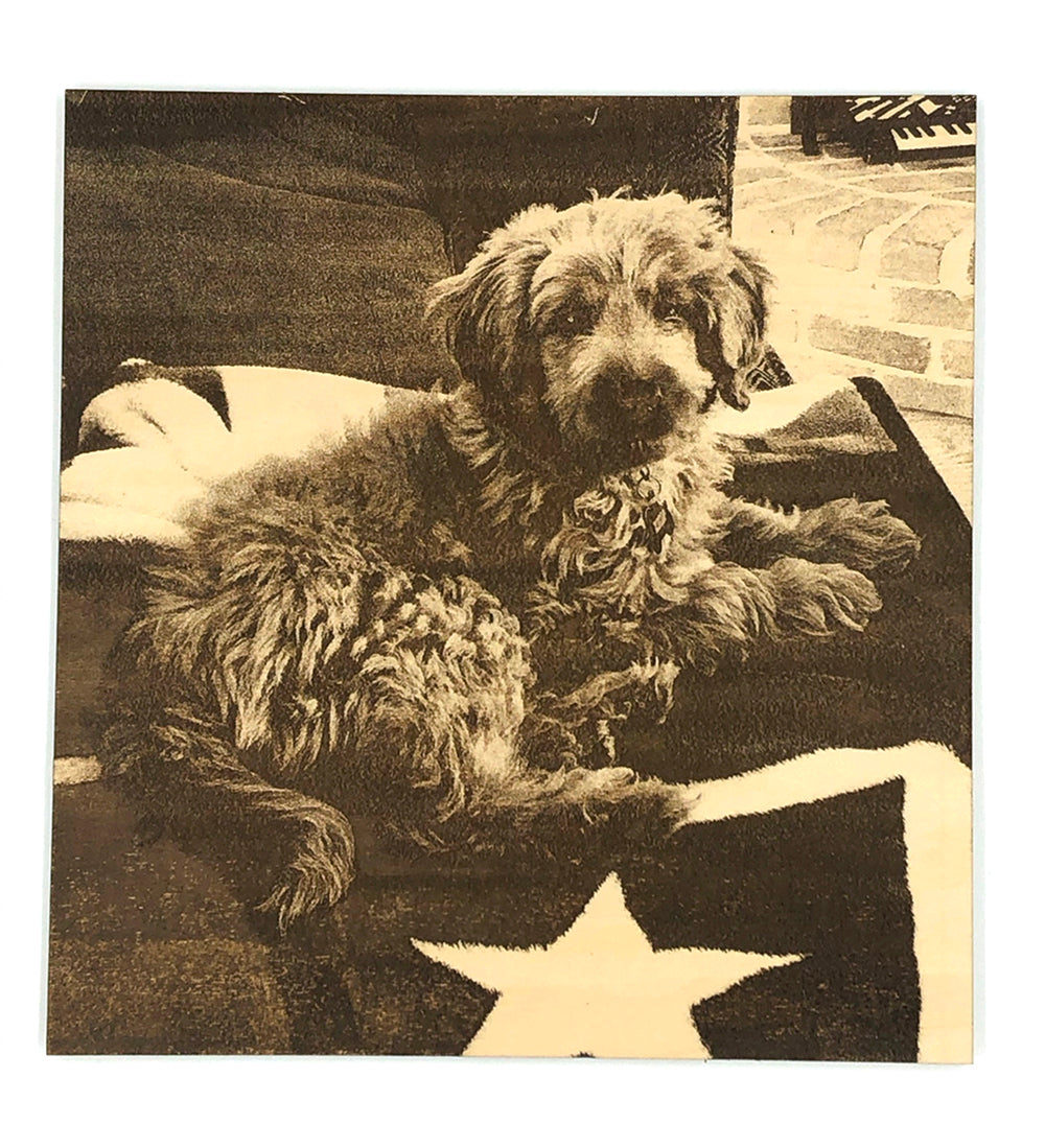 Dog lying on a flag with a star, vintage-style photo engrave
