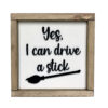 Yes I can drive a stick