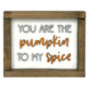 You are the pumpkin to my spice